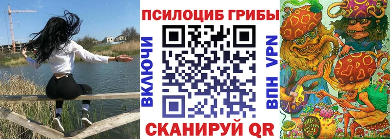 цены   Тында  shop наркотические препараты  Галлюциногенные грибы мицелий 