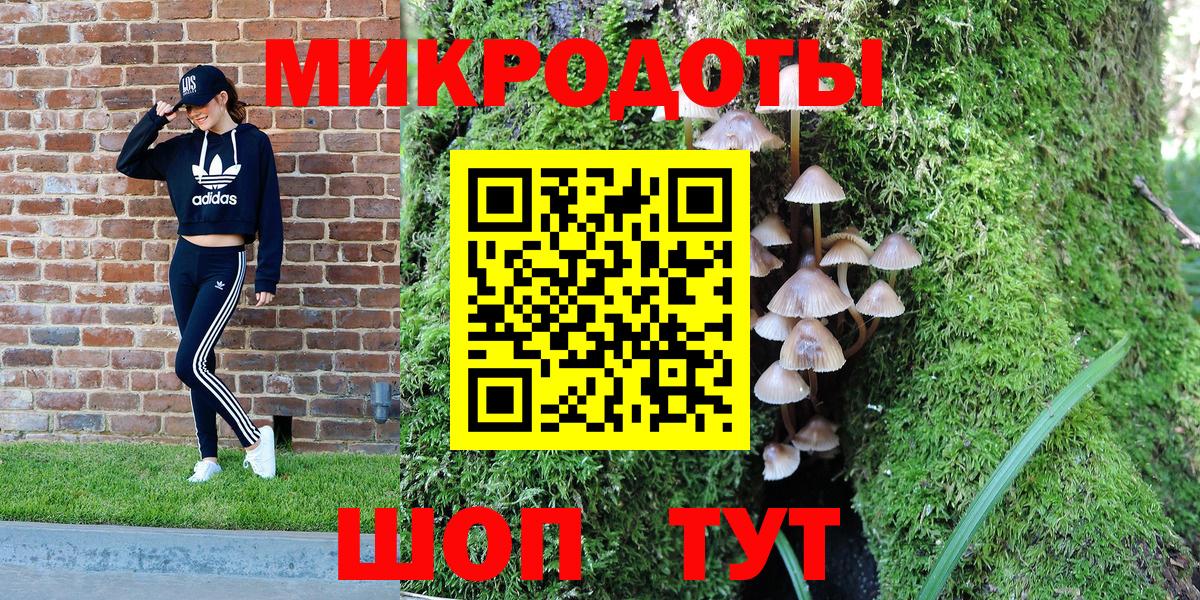 Галлюциногенные грибы Psilocybe Тында