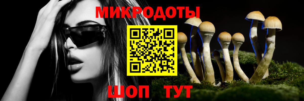 Псилоцибиновые грибы Cubensis  Вход с VPN  Тында 